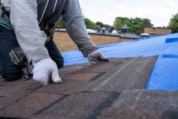 Best Gutter Installation and Roofing  in Big Le, AK