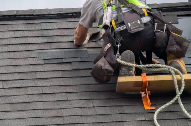 Best Flat Roof Repair Services  in Big Le, AK