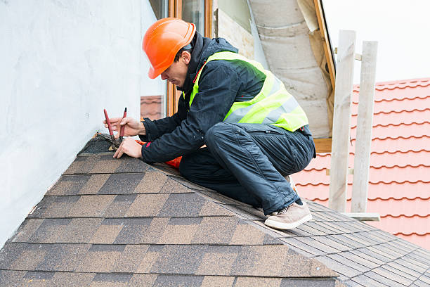 Best Roof Restoration Services  in Big Le, AK