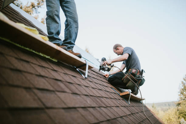 Roof Gutter Cleaning in Big Lake, AK